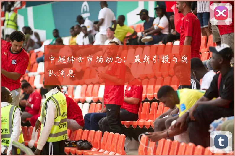 中超转会市场动态：最新引援与离队消息